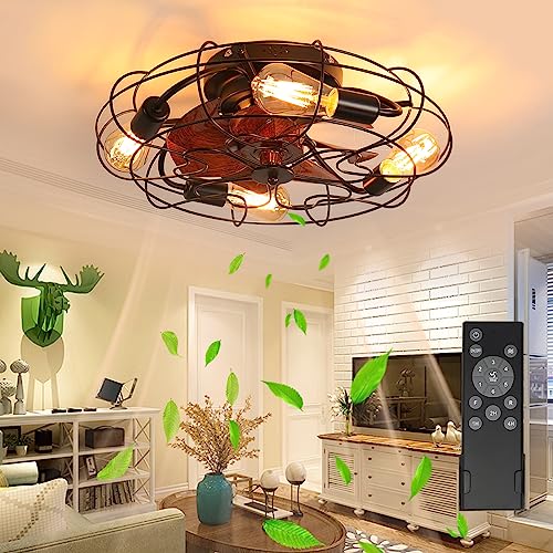 VTYXCTIGJ 20" Ceiling Fans With Lights and Remote