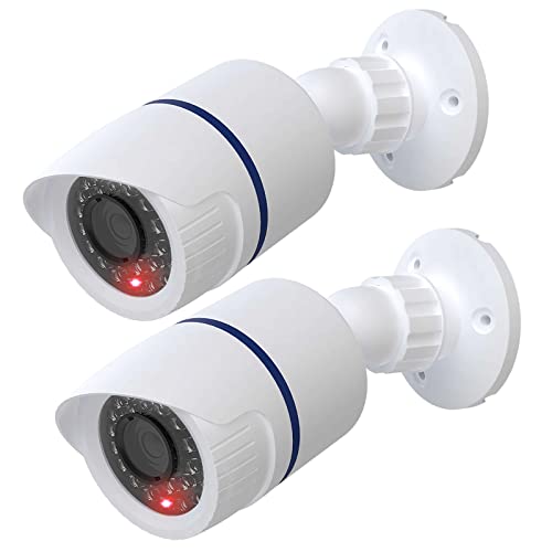 WALI Dummy Fake Camera - Indoor/Outdoor Surveillance Security