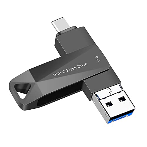 WANSISEN 1TB USB C Flash Drive