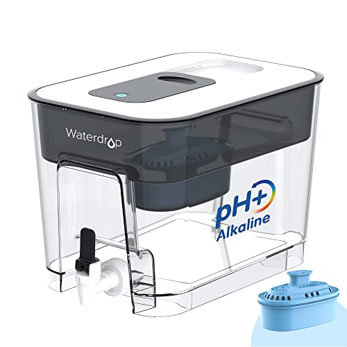 Budget vs Premium Filter Water Dispenser - What I like & Recommend? 