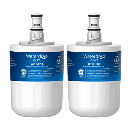 Waterdrop Refrigerator Water Filter Replacement, Pack of 2