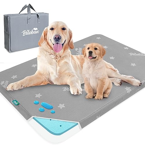 Waterproof Dog Beds for Large Dogs