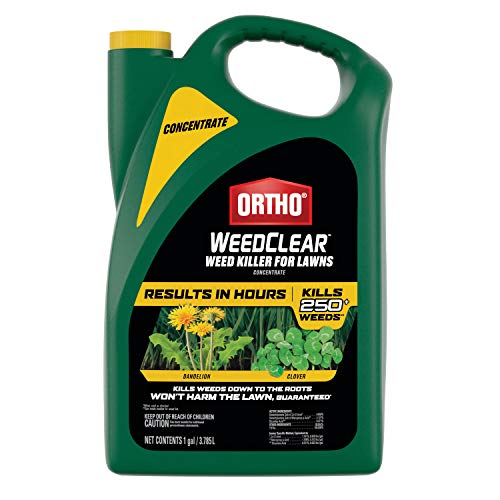 Weed Killer for Lawns Concentrate