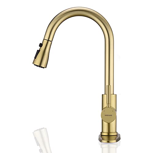 WEWE Brushed Gold Kitchen Faucet with Pull Down Sprayer