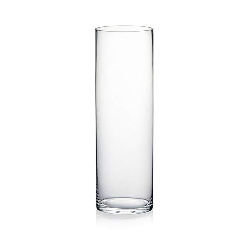 WGV Clear Glass Cylinder Vase, 5"x16"