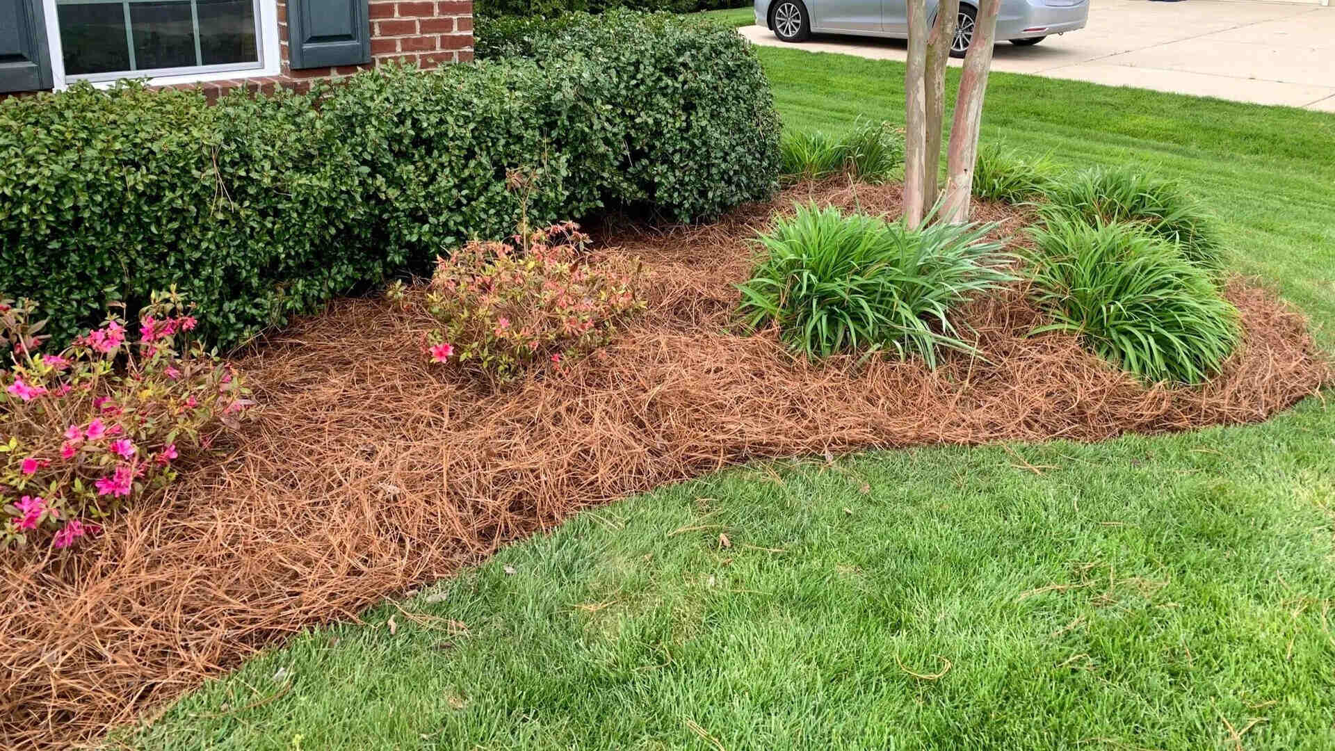 What Are The Benefits Of Using Pine Straw, Wood Chips, Or Mulch As Ground Cover?