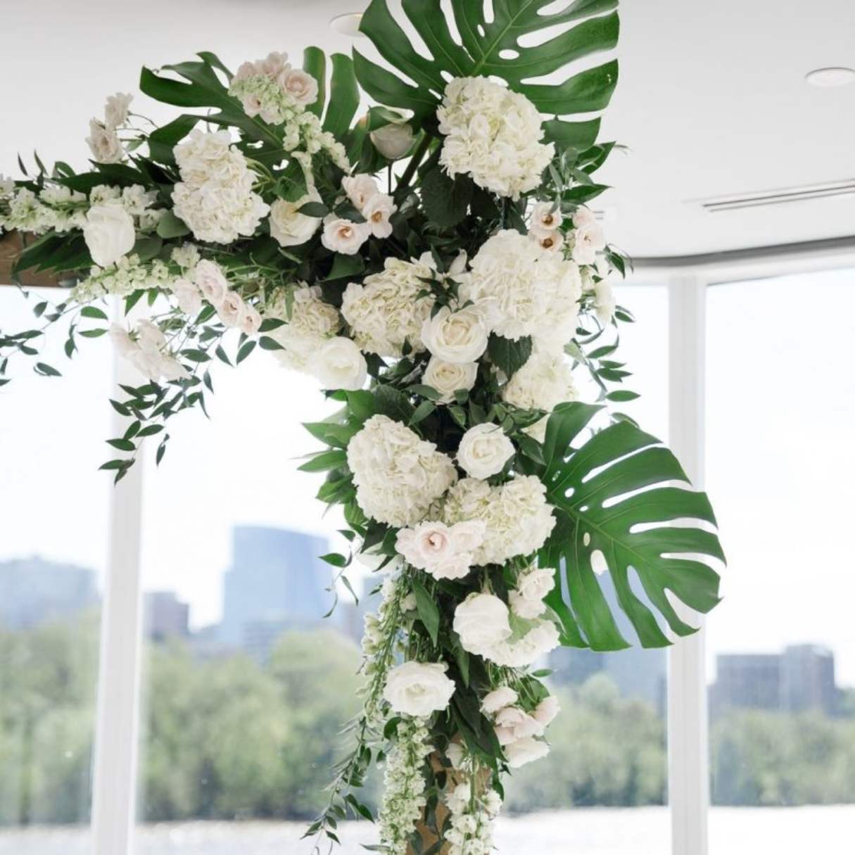 What Are The Big Leaves In Floral Arrangements Called