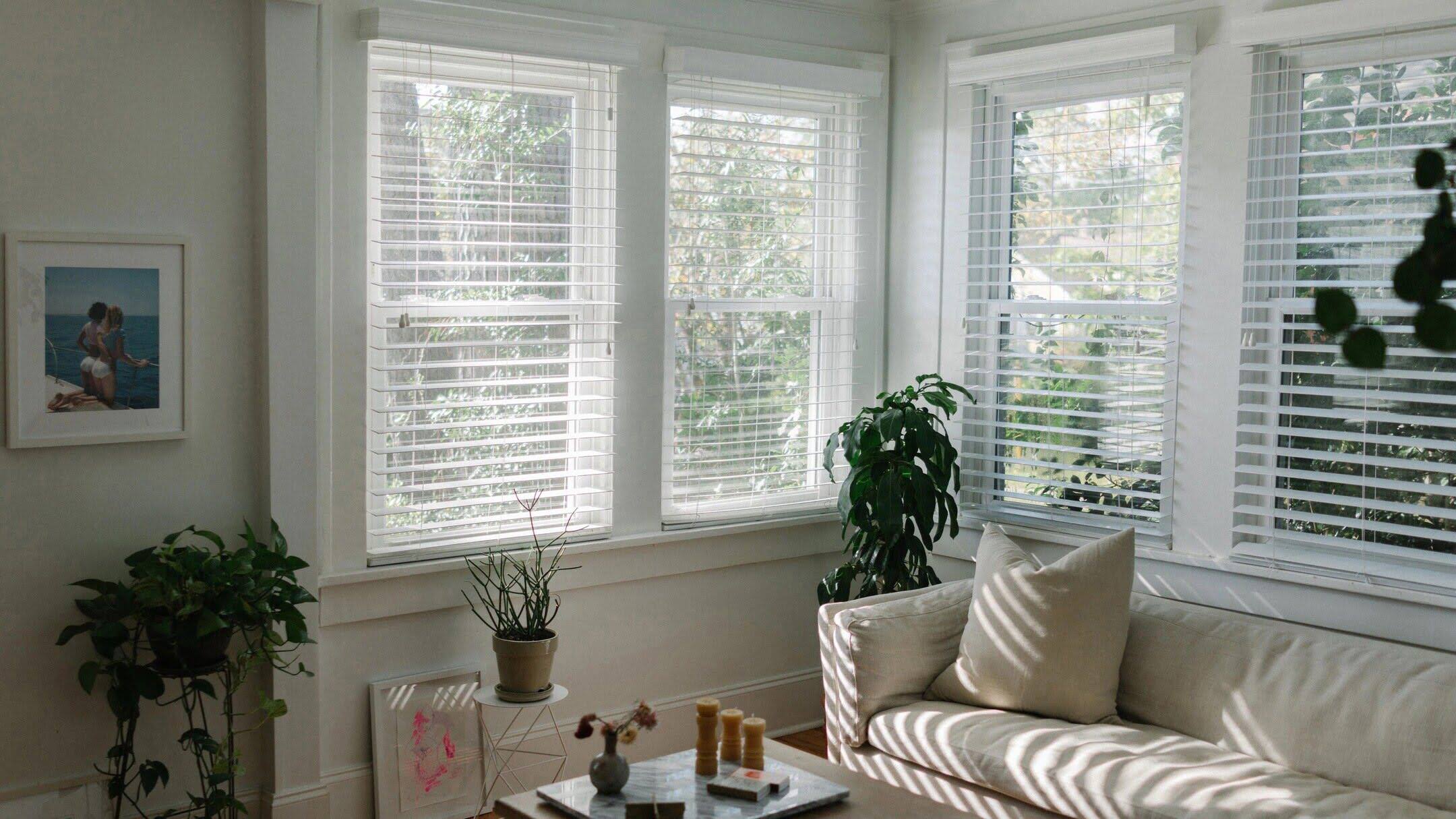 What Blinds Are Best For The Living Room
