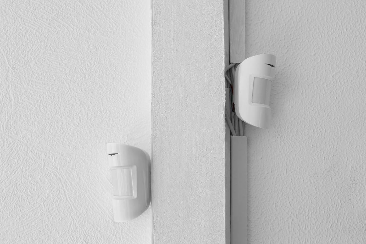 What Can Cause False Alarms In Motion Detectors