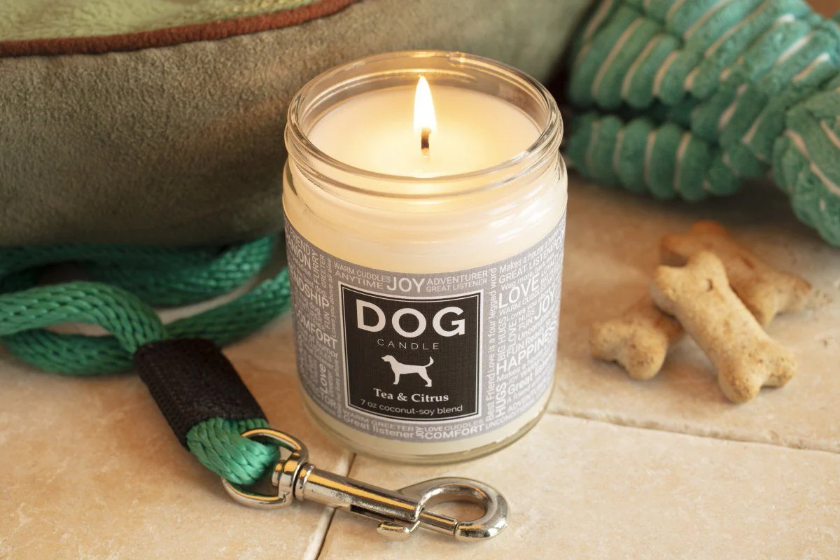 What Candles Are Safe For Dogs