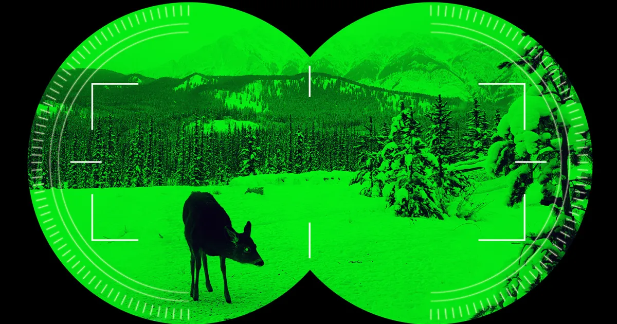 What Color Is Hardest To See With Night Vision Camera