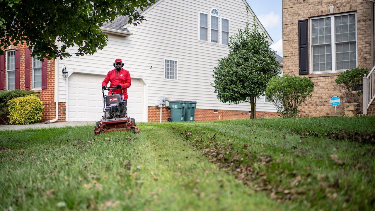 What Do Lawn Care Businesses Do