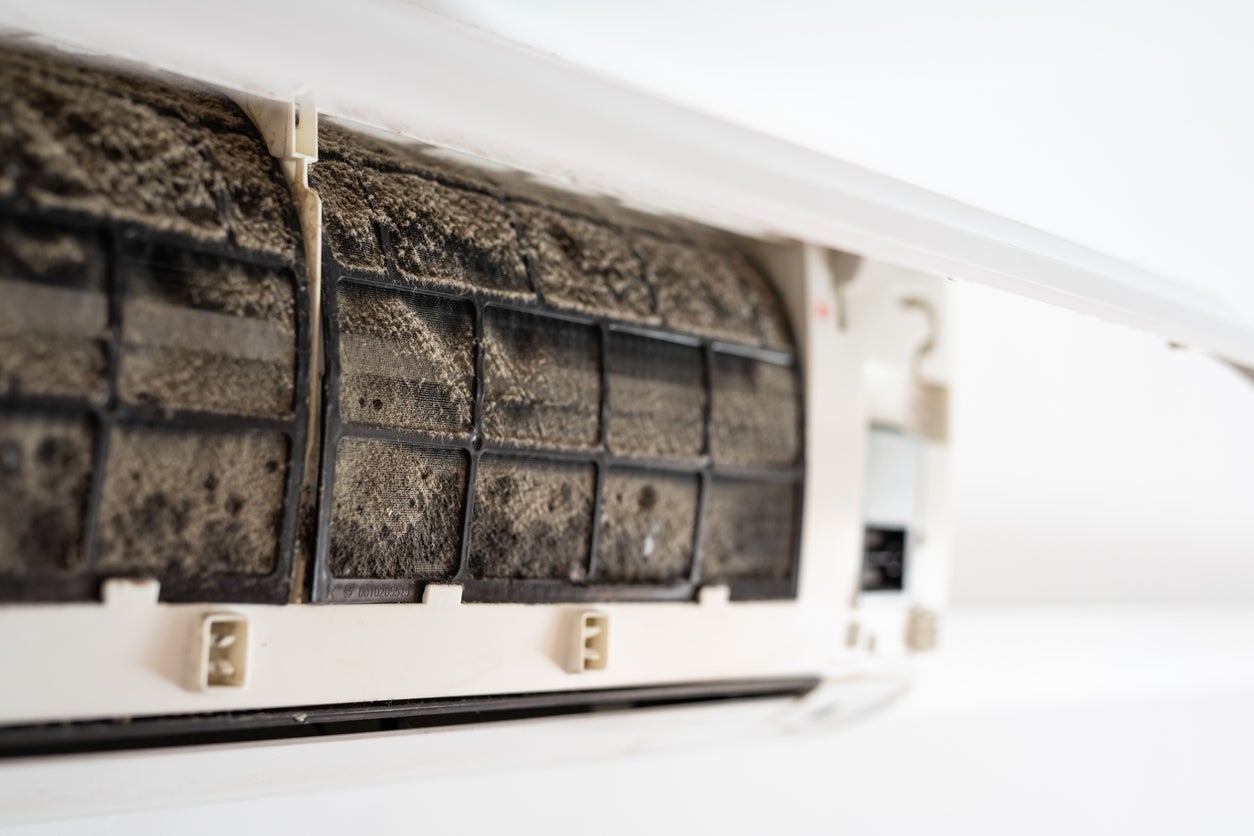 What Does Black Mold Look Like In An Air Conditioner