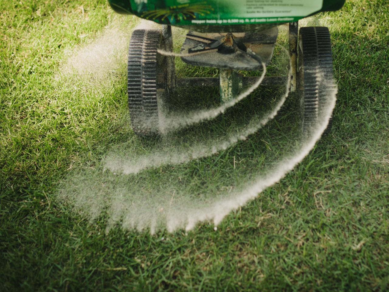 What Fertilizer To Use For A Fall Lawn Care