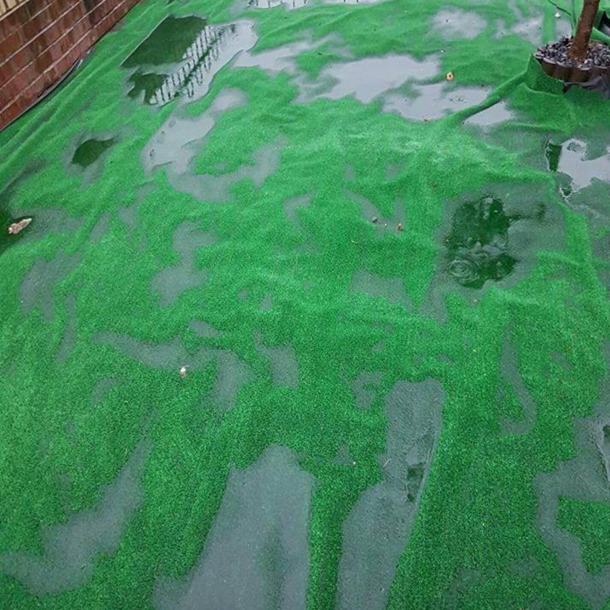 What Happens If Fake Grass Gets Wet?