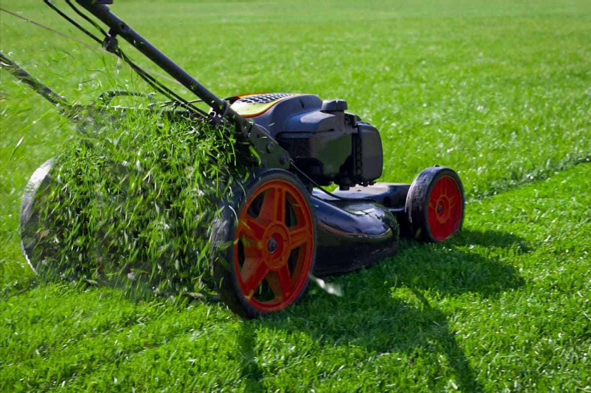 What Home Owners Need To Know About Lawn Care