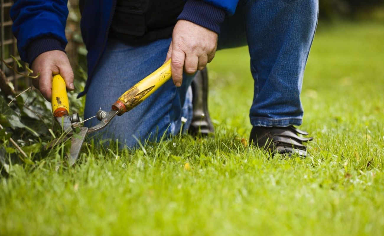 What Is A Landscaping Business