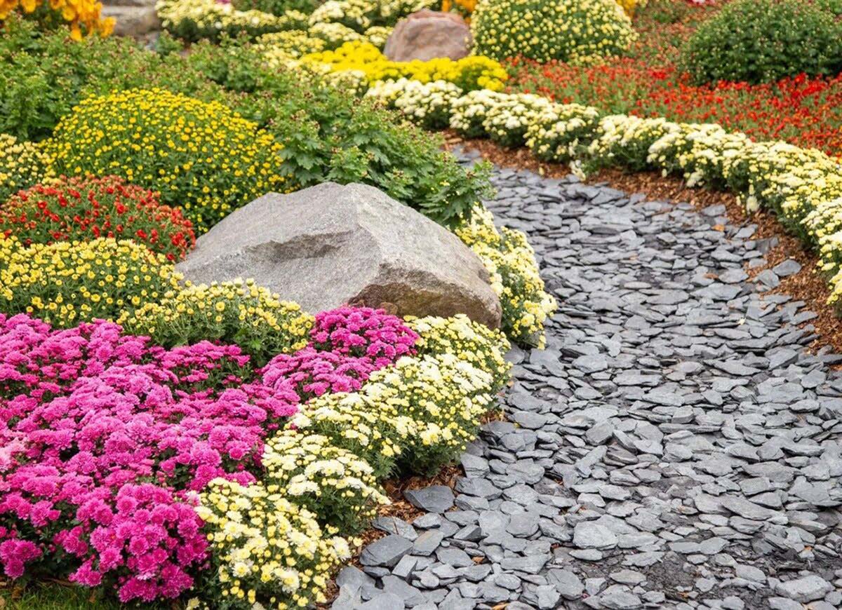 What Is A Pretty Ground Cover To Plant Outside On The Walkway