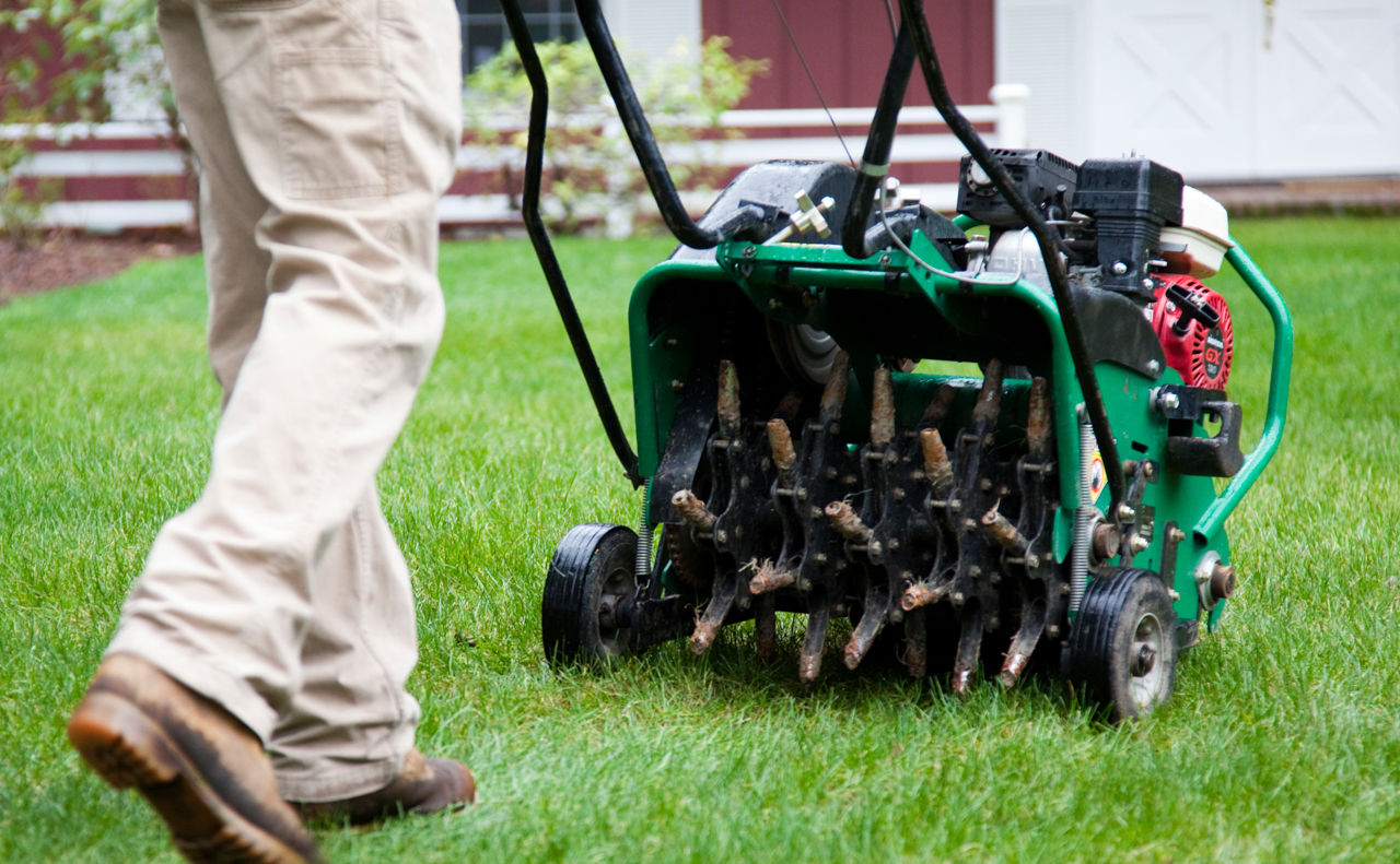 What Is Aeration In Lawn Care