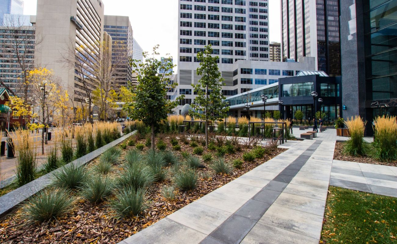 What Is Commercial Landscaping