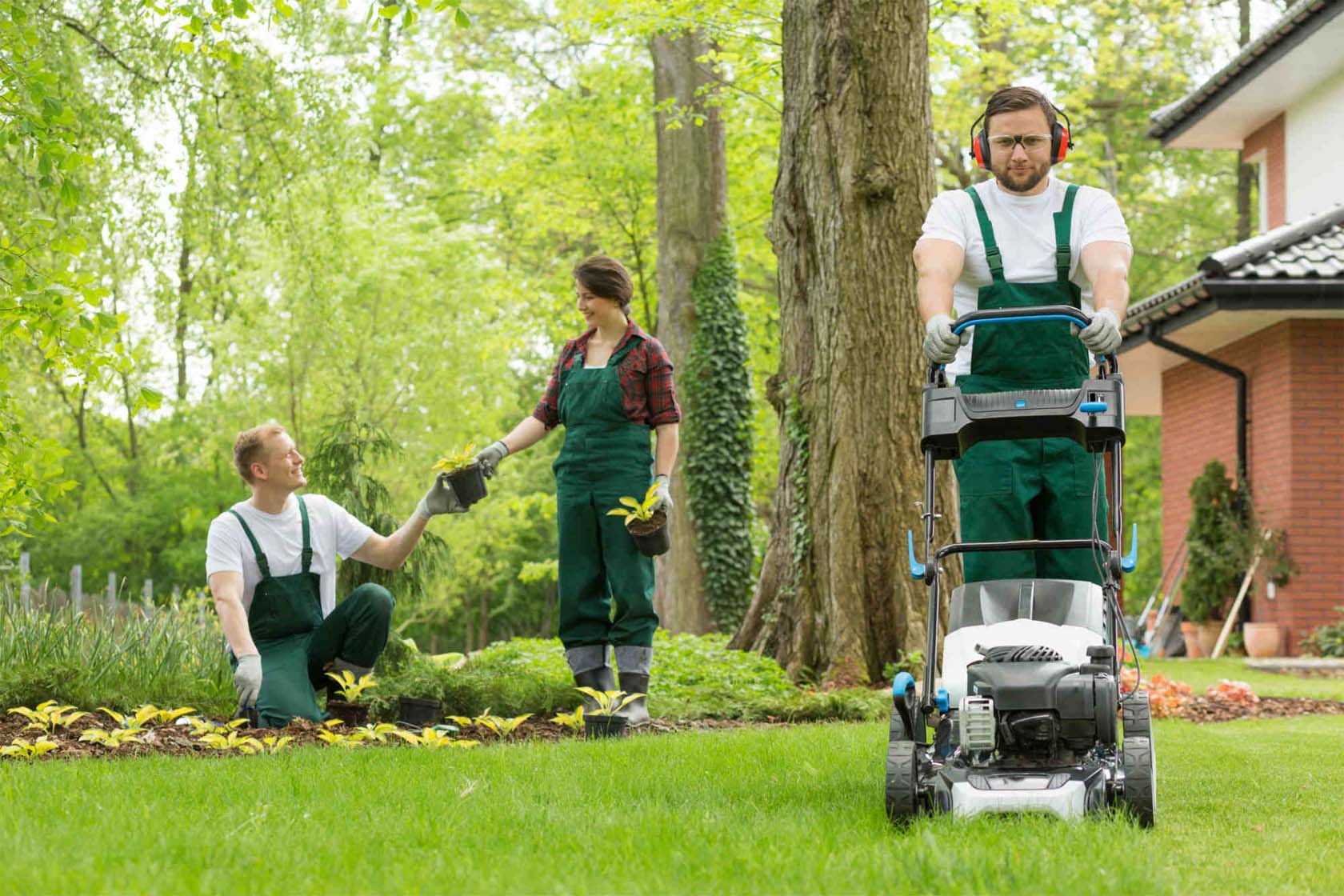 What Is Lawn Care Services