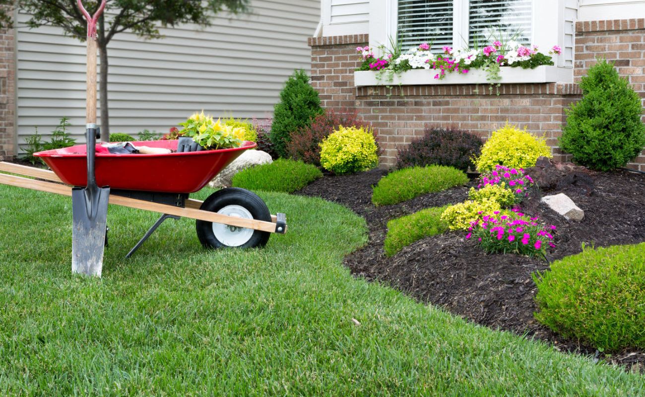 What Is Softscape Landscaping