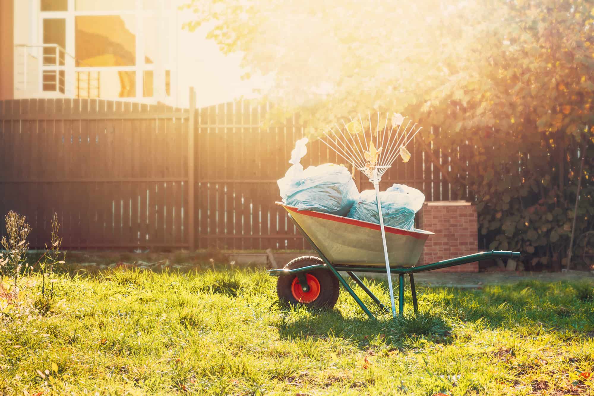 What Is Spring Clean Up For Landscaping