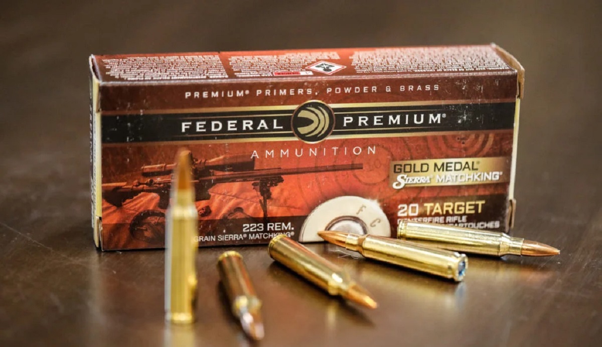 What Is The Best .223 Ammo For Home Defense