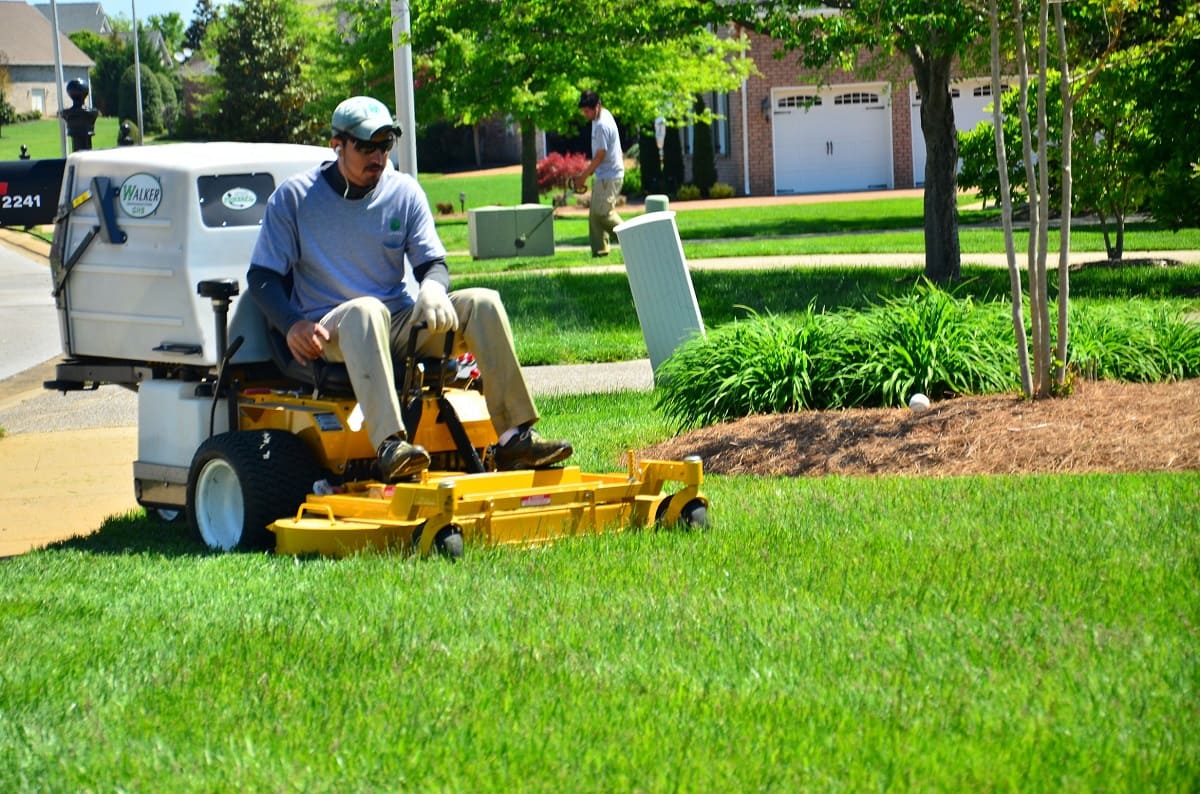 What Is The Best Lawn Care Company