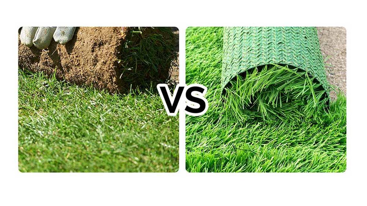 What Is The Difference Between Synthetic Grass And Artificial Grass