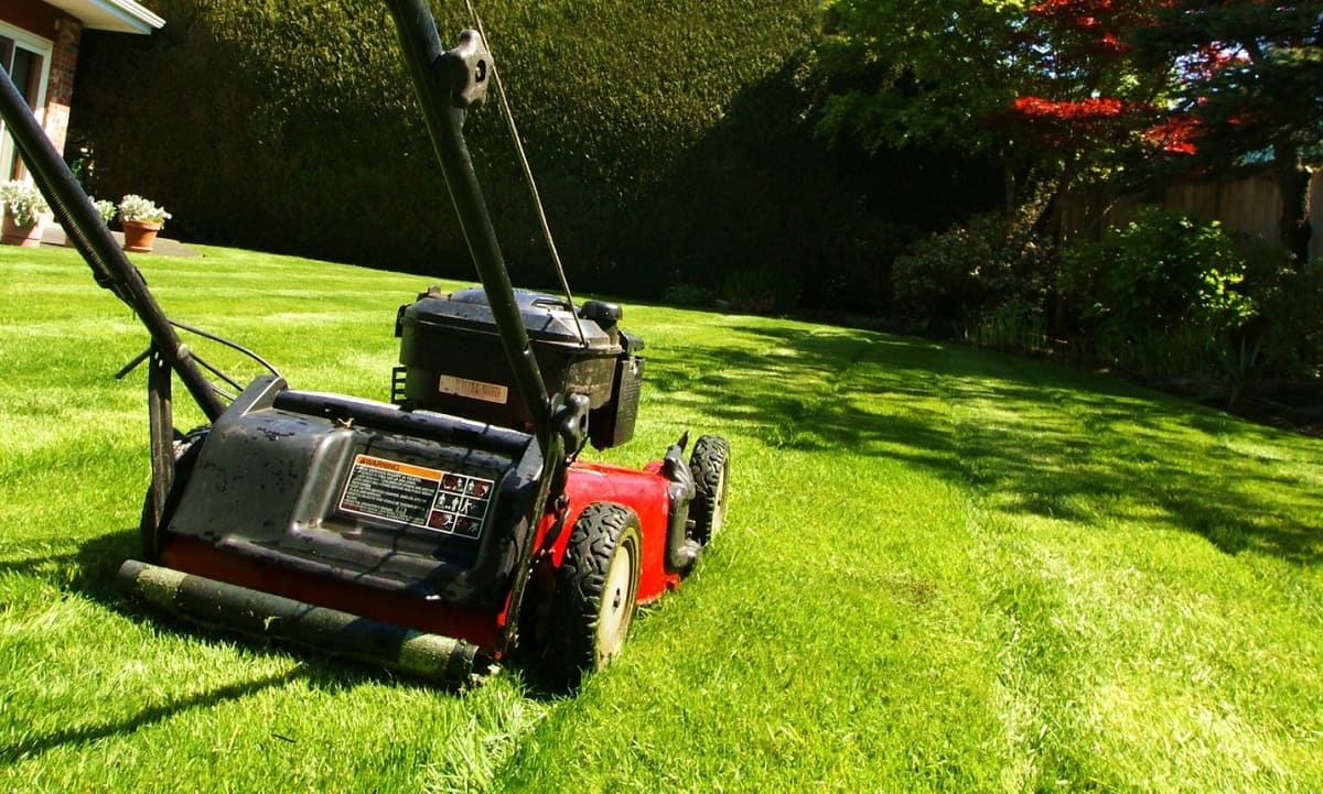 What Is The Minimum Profit Margin For Lawn Care