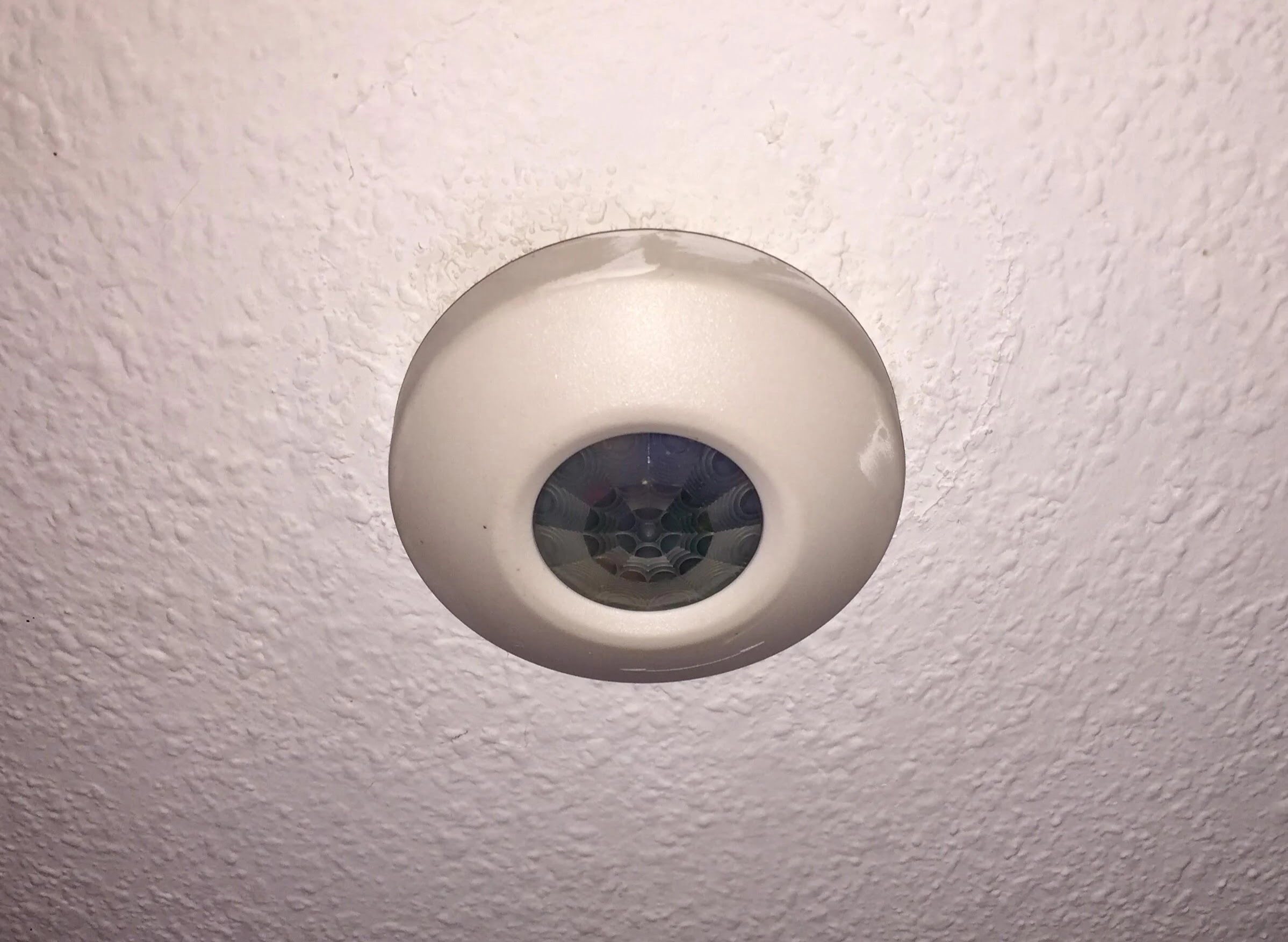 What Is The Purpose Of A Ceiling-Mounted Motion Detector?