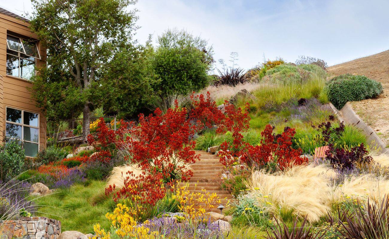 What Is Xeriscaping Landscaping