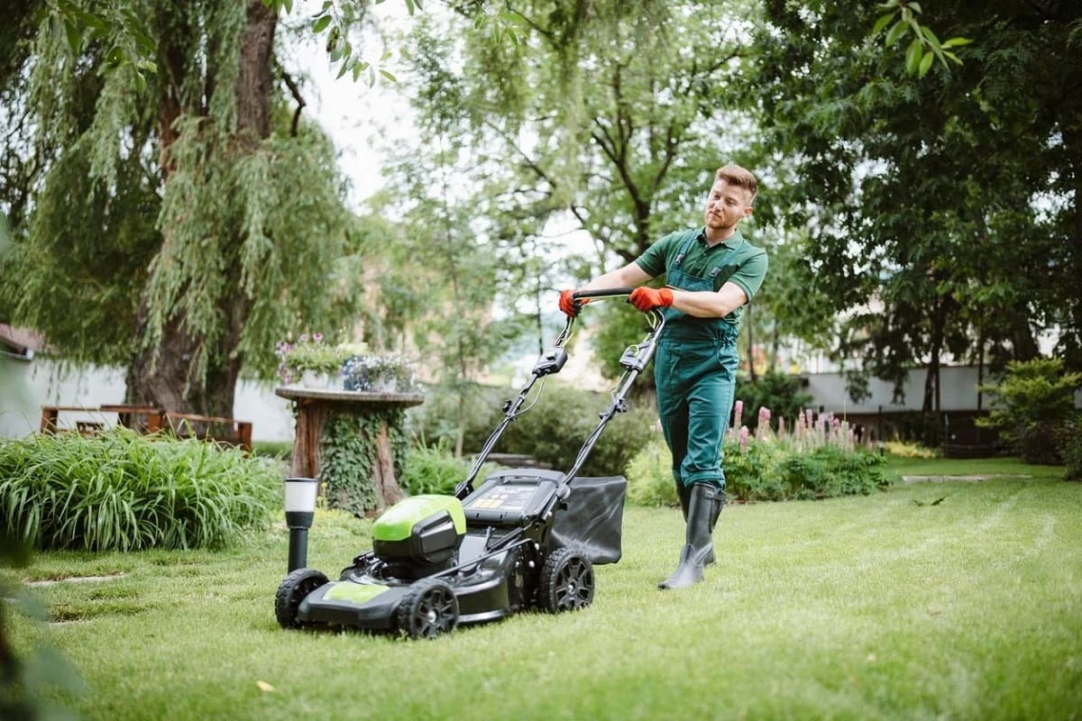 What Kind Of Insurance Does Lawn Care Business Get
