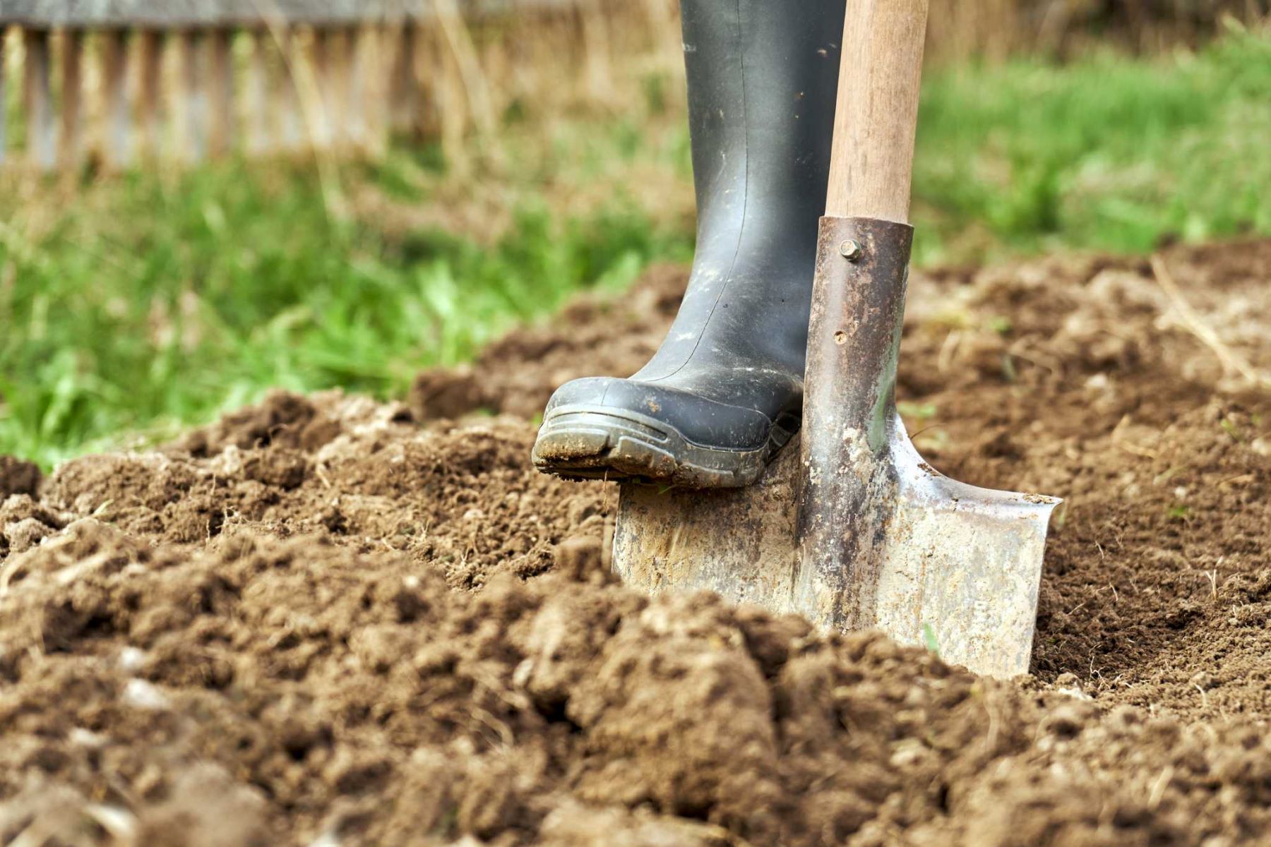 What To Add To Clay Soils For Drainage In The Garden