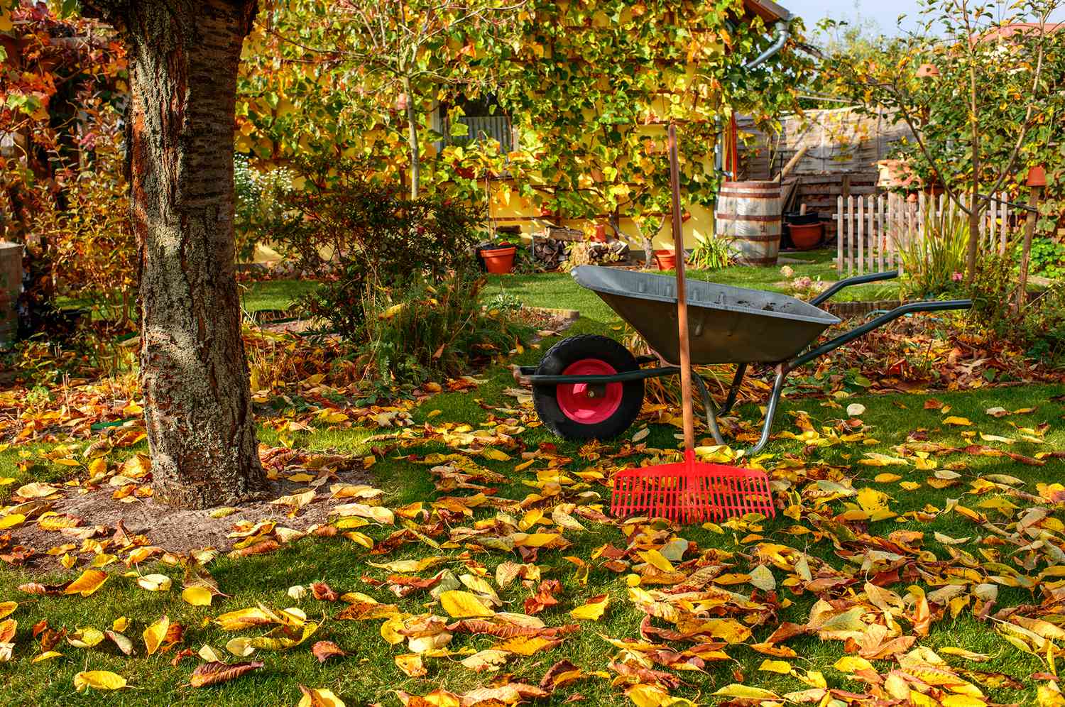 What To Do For Fall Lawn Care
