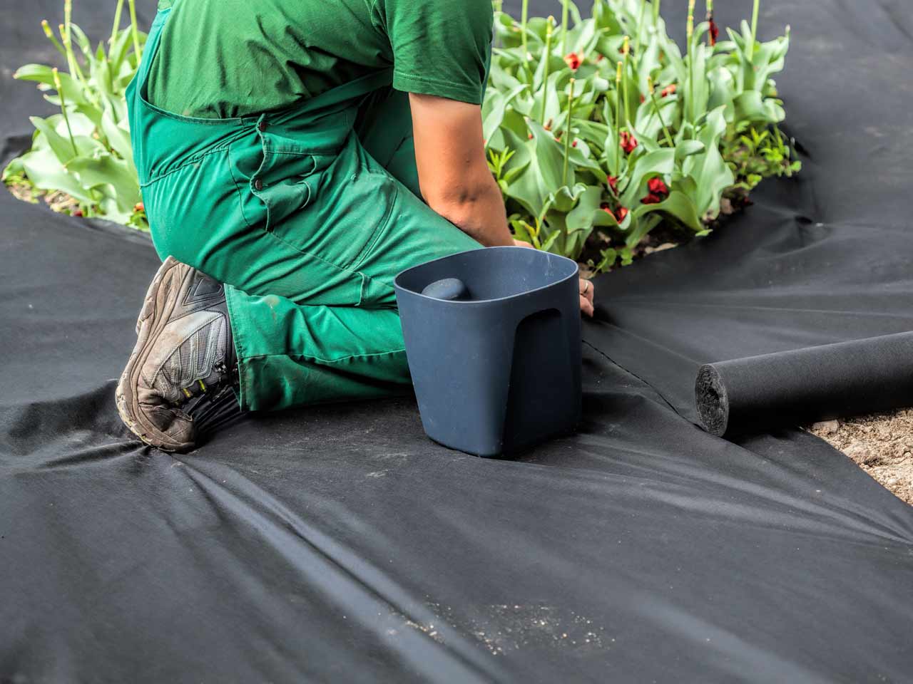 What To Plant In Plastic Ground Cover