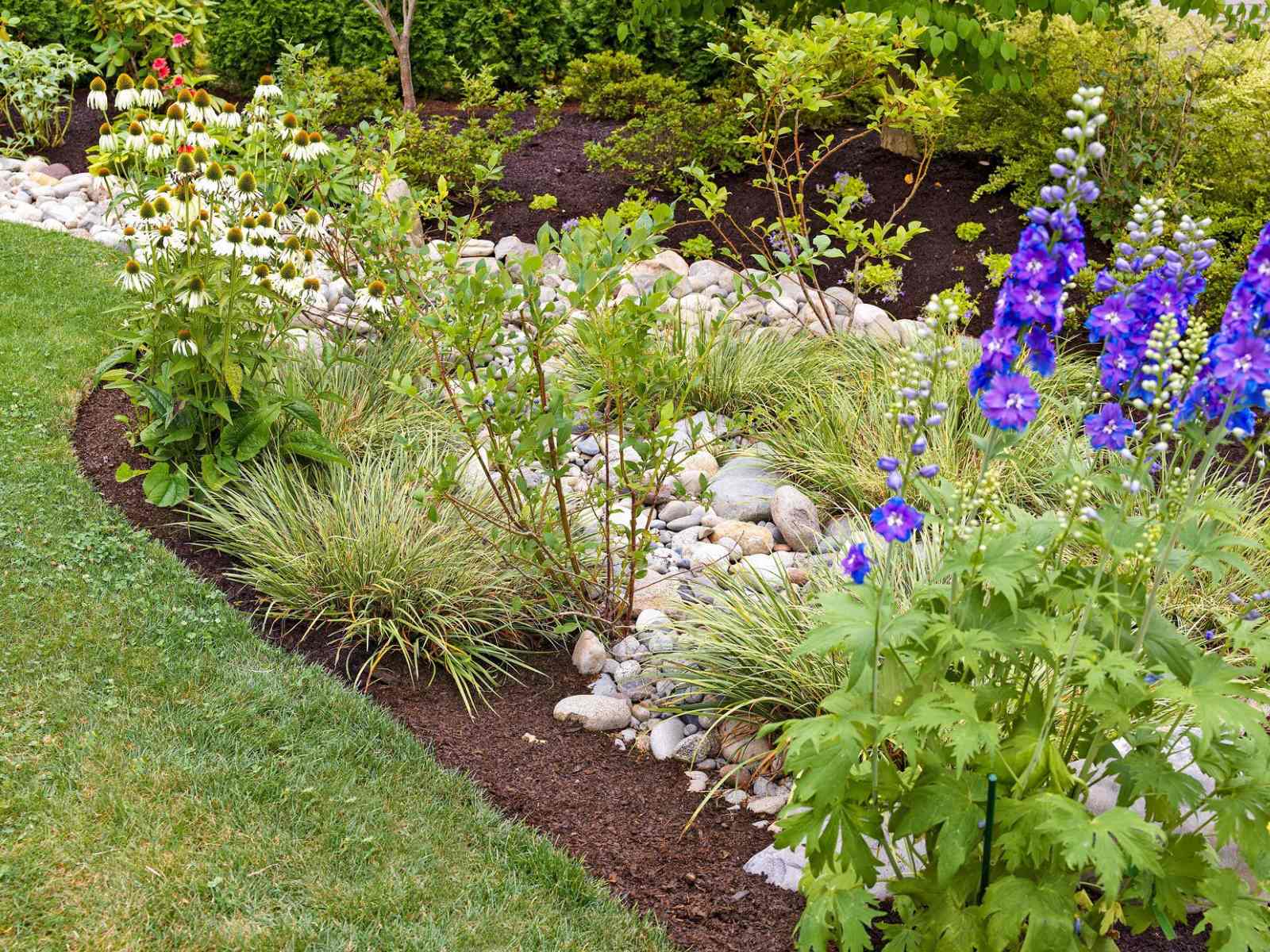 What To Plant Next To The House For Good Drainage