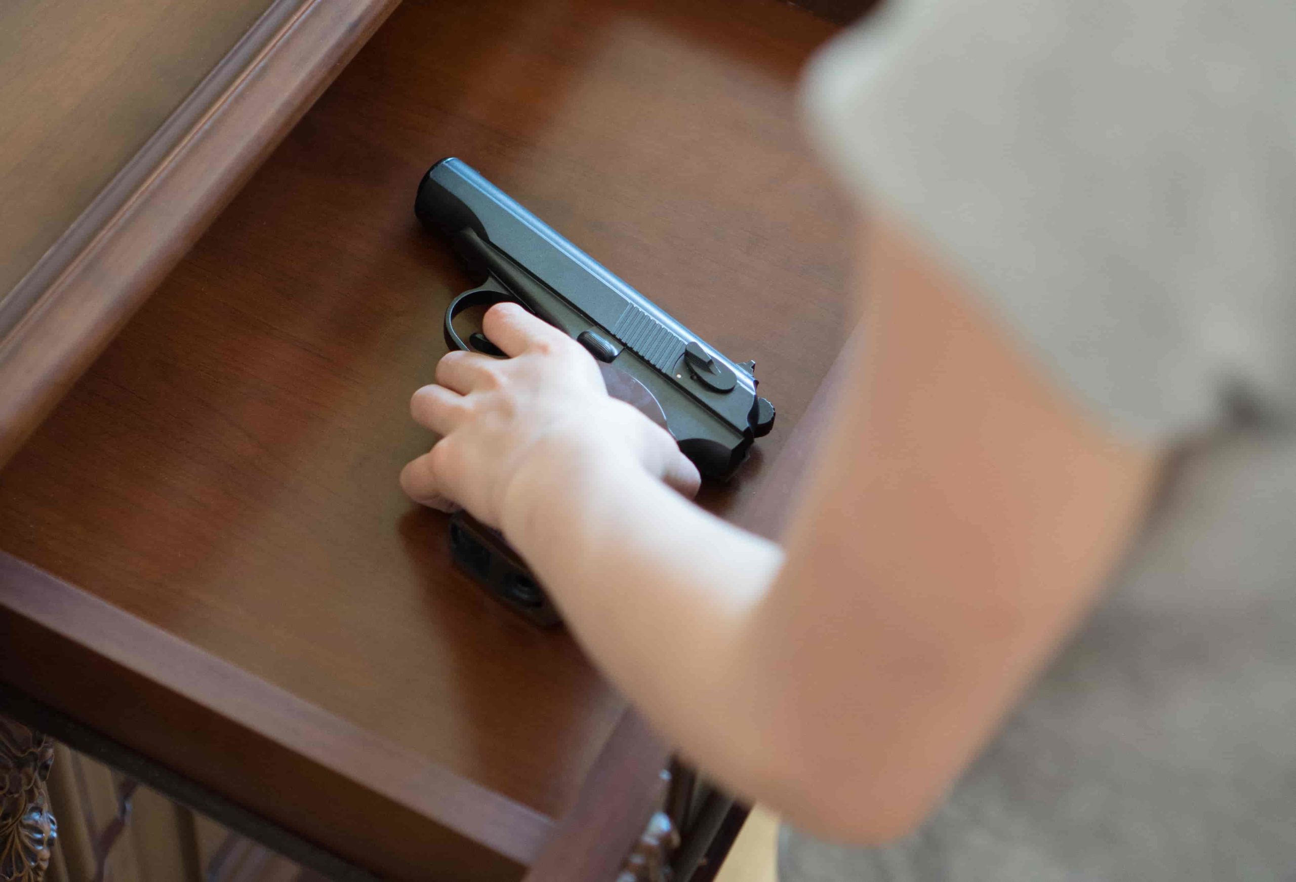 What Types Of Guns Are Permitted In Home Protection In Michigan