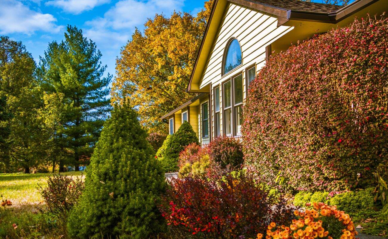 When Is The Best Time To Plant Landscaping