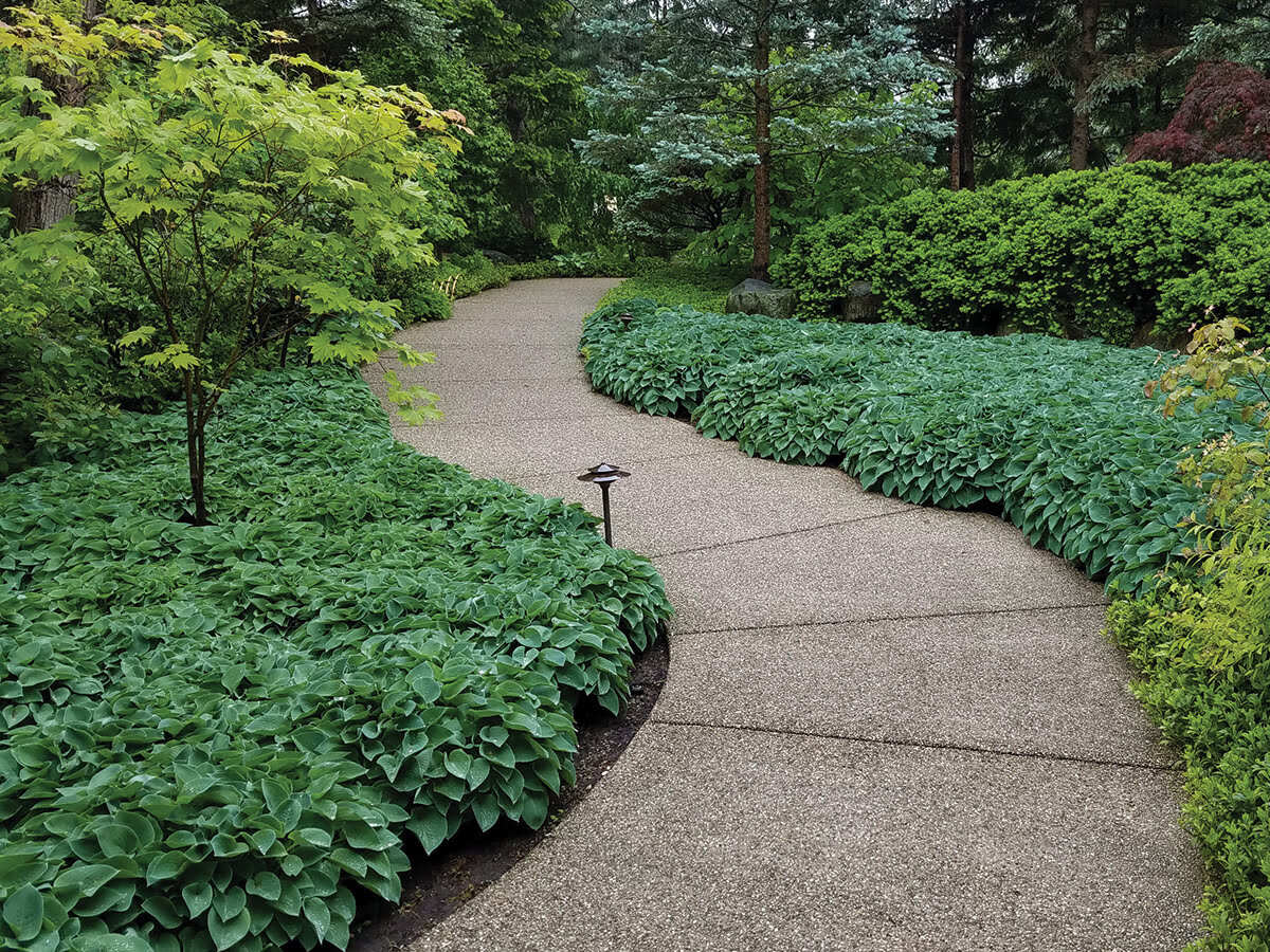 When Should I Plant Ground Cover In Connecticut