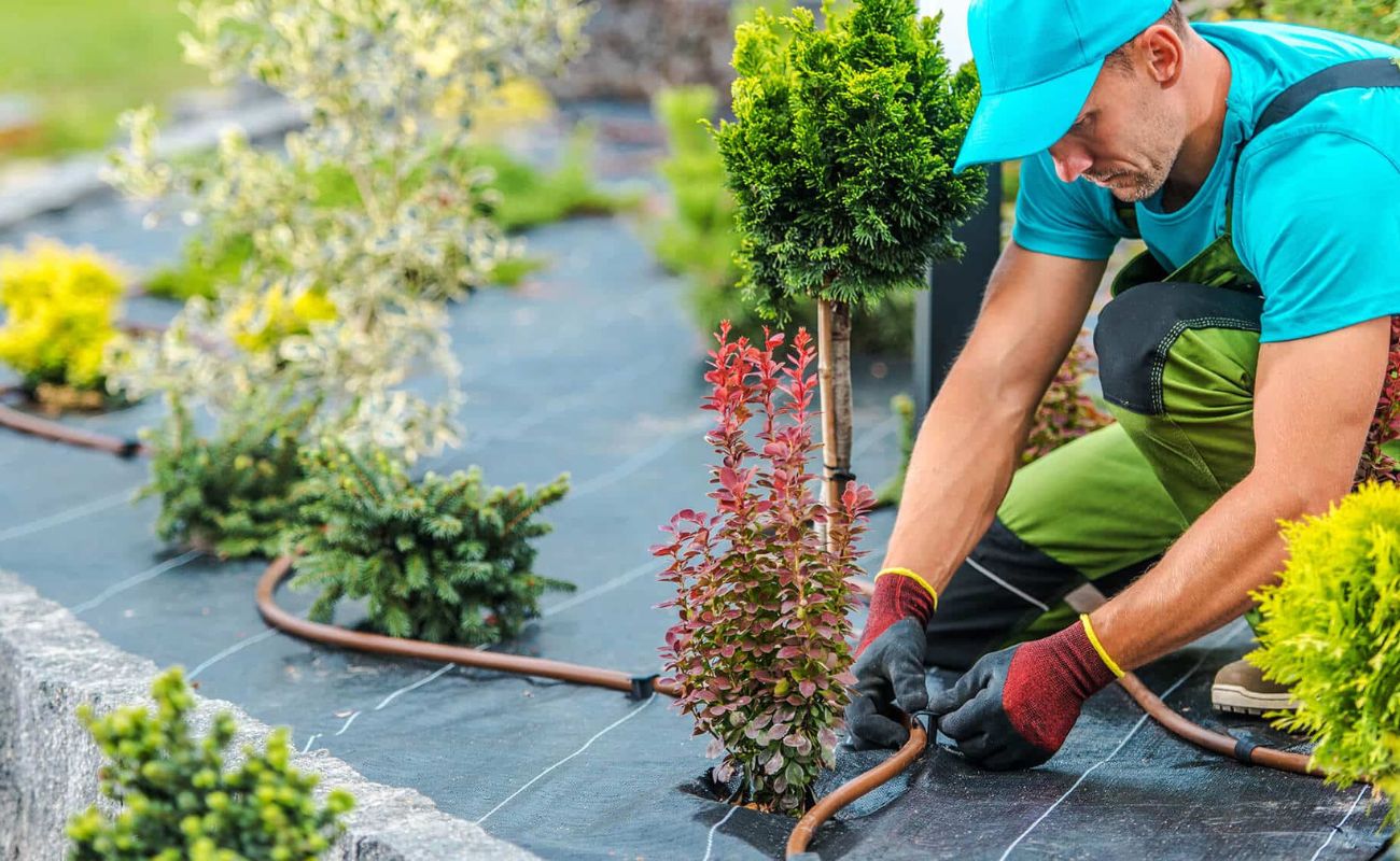 When To Start Landscaping