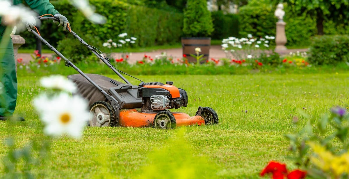 When To Start Spring Lawn Care