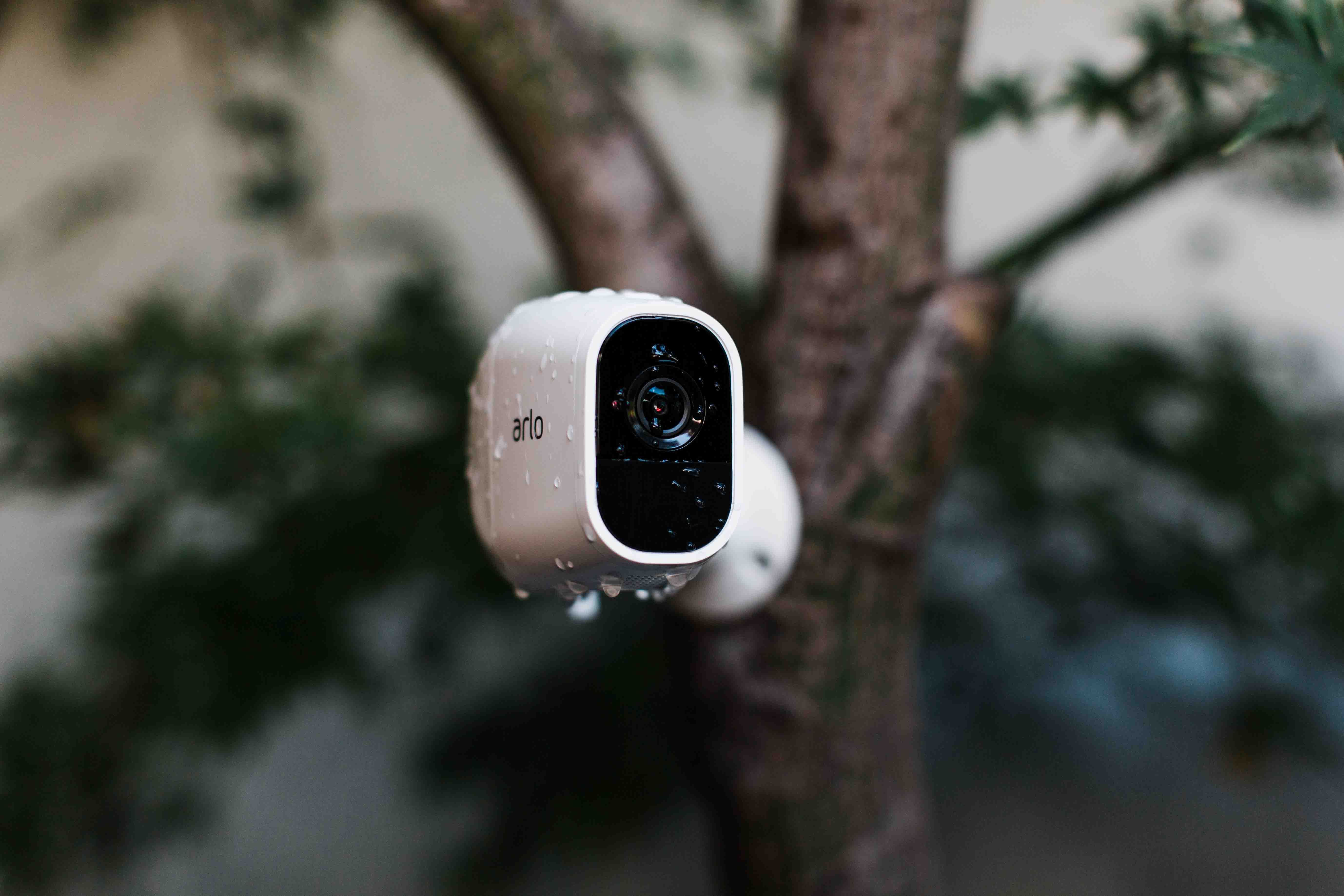 Where Is The Location Of Arlo Motion Detection