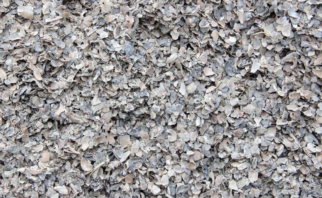 Where To Buy Crushed Oyster Shells For Landscaping