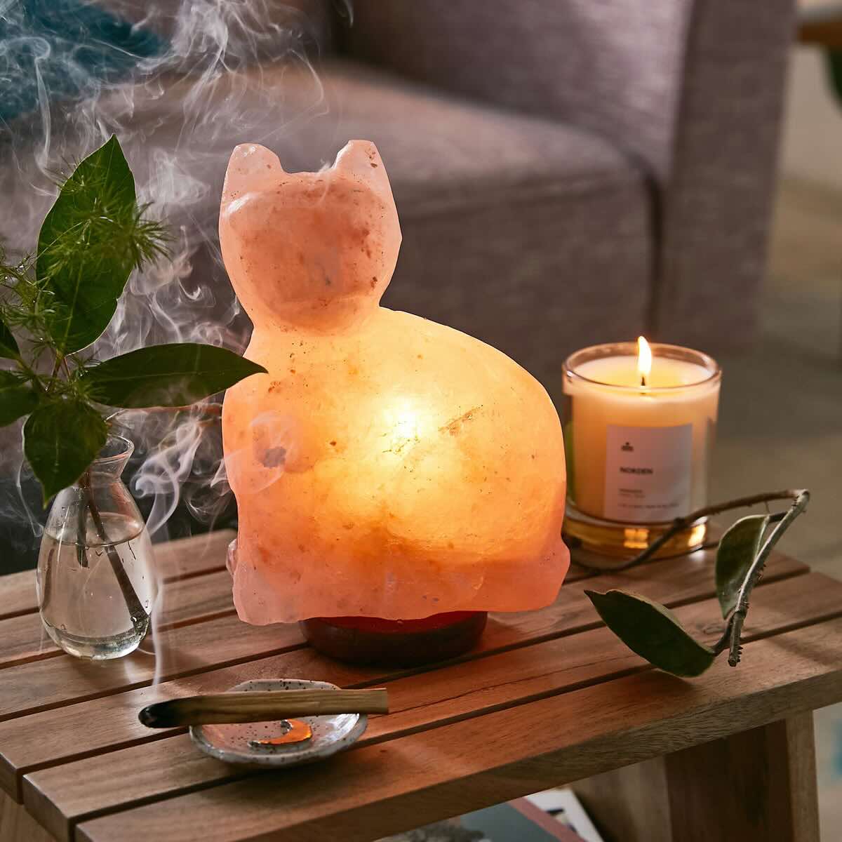 Where To Place A Salt Lamp