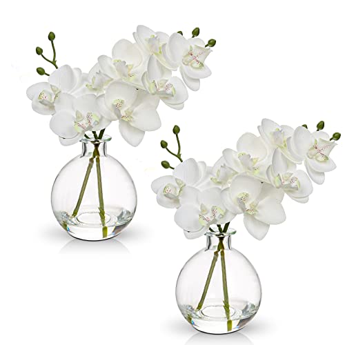 White Orchids Artificial Flowers Faux Orchid Arrangement with Clear Glass Vase Set of 2 Real Touch Phalaenopsis Orchid Flowers Orchid Centerpiece for Dining Room Table