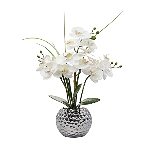 White Phalaenopsis Orchid Flower Arrangements