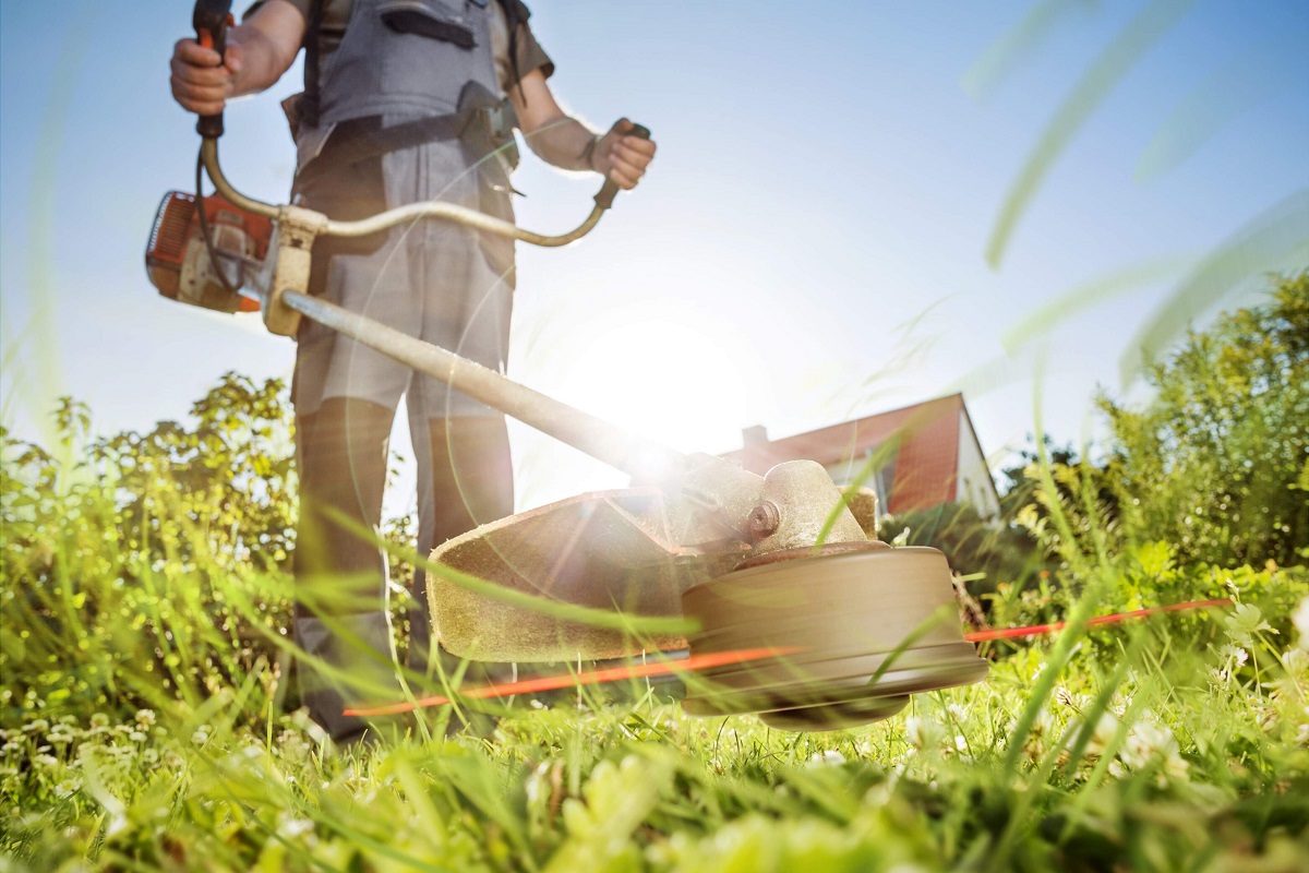 Who Has The Absolute Advantage In The Lawn Care Business?