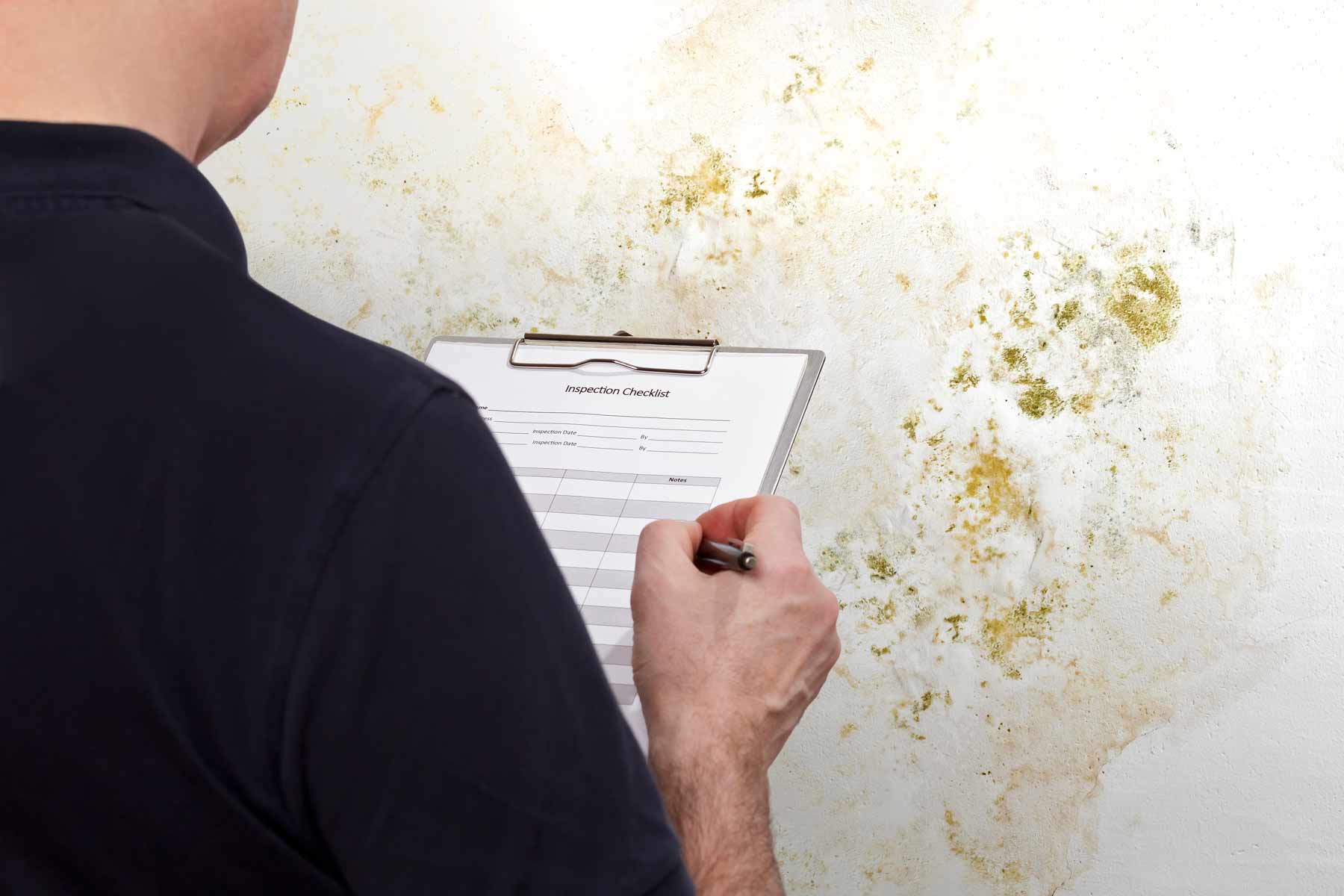 Who Pays For Mold Inspection: Buyer Or Seller?